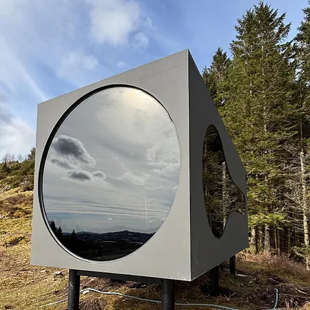 Birdbox Bergen