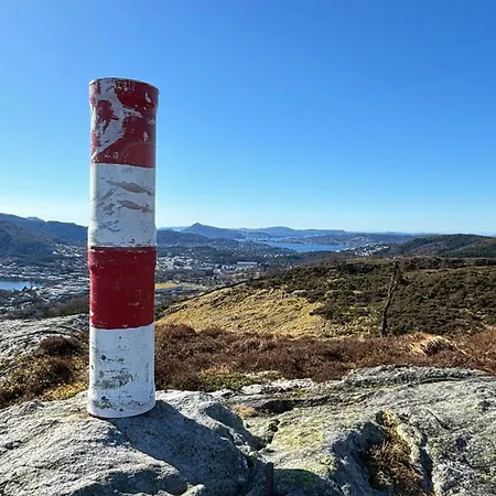 Birdbox ベルゲン