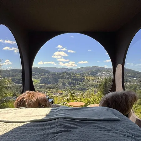 Birdbox ベルゲン