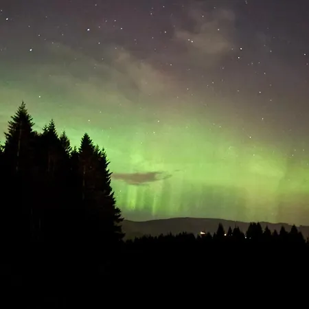 Birdbox 別荘 ベルゲン