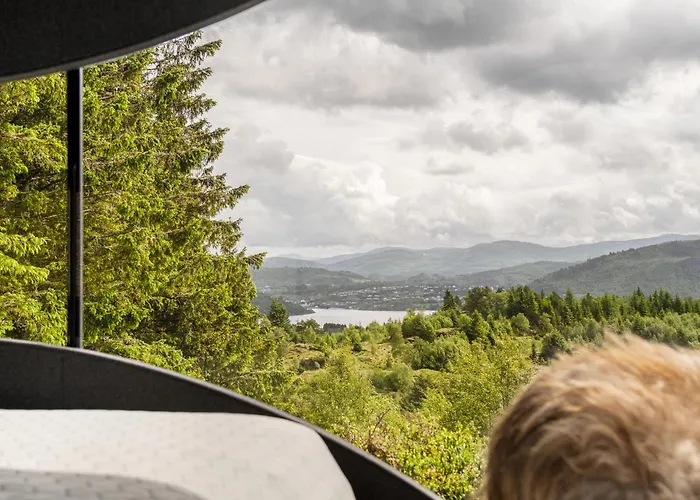 Hébergement de vacances Birdbox *