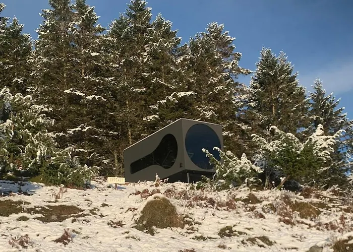 Birdbox Hébergement de vacances Bergen