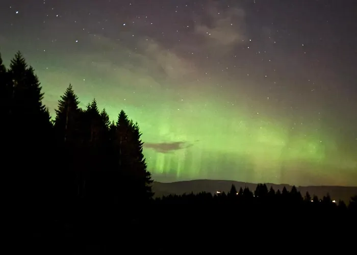 Birdbox Hébergement de vacances Bergen