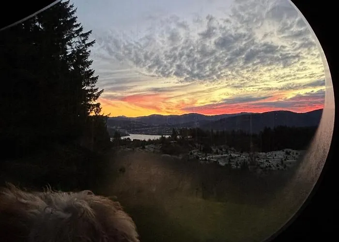 Birdbox Ferienhaus Bergen